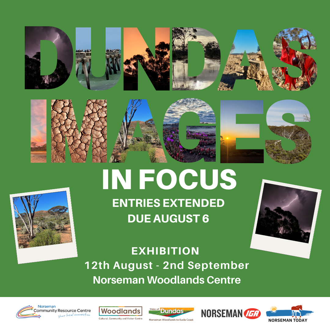 In Focus - Dundas Photographic Competition