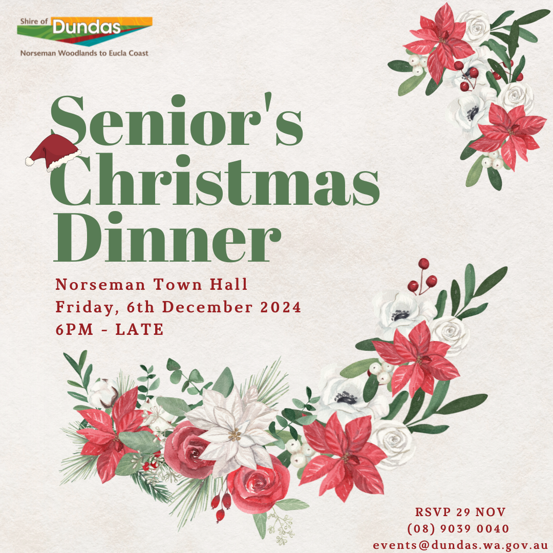 Seniors Christmas Dinner