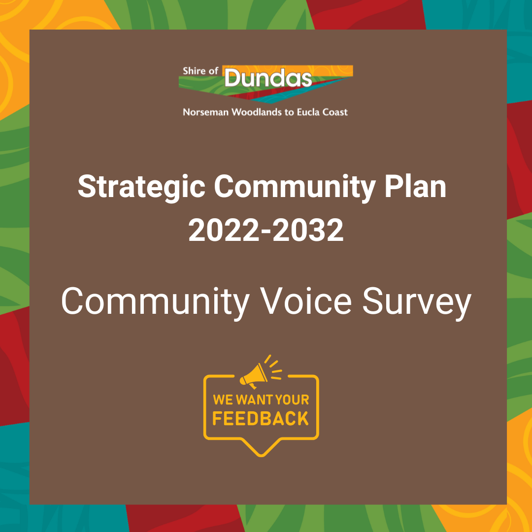 Have your Say - Community Voice Survey